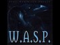 Paroles de Still not black enough W.a.s.p.