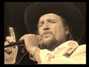 Il testo della For the kids Waylon Jennings
