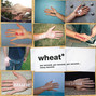 Il testo della I met a girl Wheat