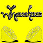 Il testo della The deck Wheatus