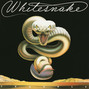 Il testo della Day tripper Whitesnake