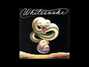 Il testo della Free flight Whitesnake