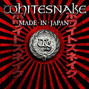 Il testo della Give me all your love tonight Whitesnake