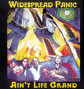 Il testo della Airplane Widespread Panic