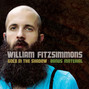 Il testo della By my side William Fitzsimmons