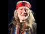 Il testo della Any old arms won't do Willie Nelson