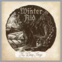 Il testo della The wisp sings Winter Aid