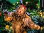 Il testo della If i were king of the forest Wizard Of Oz