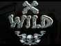 Il testo della Scarred to the bone X-wild