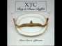 Il testo della Thanks for christmas Xtc