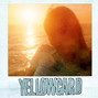 Il testo della Inside out Yellowcard