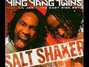 Lyrics of Salt shaker (remix) Ying Yang Twins