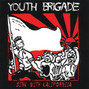 Il testo della Sink with california Youth Brigade