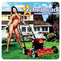 Lyrics of Playmate of the year Zebrahead