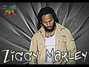 Lyrics of Dreams of home Ziggy Marley