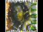 Il testo della Have you ever been to hell Ziggy Marley