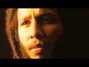 Il testo della In the flow Ziggy Marley