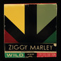 Il testo della Personal revolution Ziggy Marley