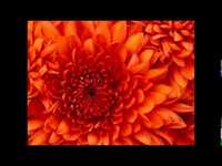 pochette album Baptized in fire