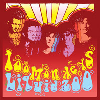 pochette album Invisible monsters