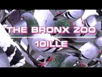 pochette album Inaudible