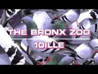 pochette album Sun bathe