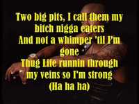 pochette album Bomb first