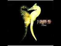 pochette album Hateshick