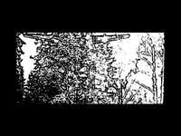 pochette album Storming juno