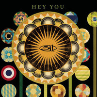 pochette album Hey you