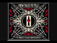 pochette album The light