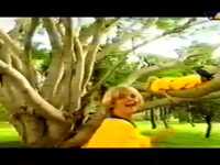 pochette album Children of the world