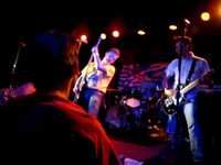 pochette album Why don't you die