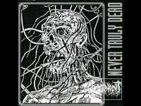 pochette album Rebirth