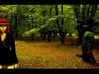 pochette album Gavilán o paloma