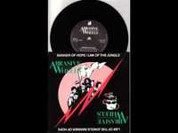 pochette album Banner of hope