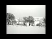 pochette album Despondency