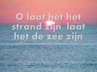 pochette album Niet of nooit geweest