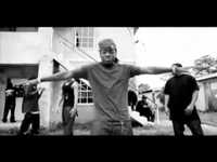 pochette album Loyalty