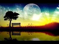 pochette album All for you