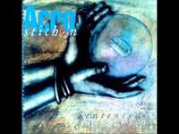 pochette album Shelter