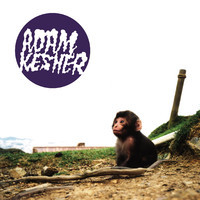 pochette album Midnight diver