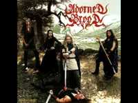 pochette album Wapen