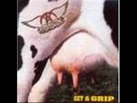 pochette album Circle jerk