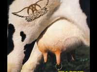 pochette album Intro