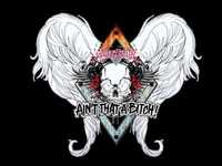 pochette album Shakey ground