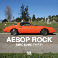 pochette album Zero dark thirty