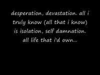 pochette album Rabbits are roadkill on route 37