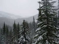 pochette album A poem by yeats