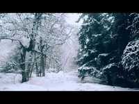 pochette album Birth and death of the pillars of creation